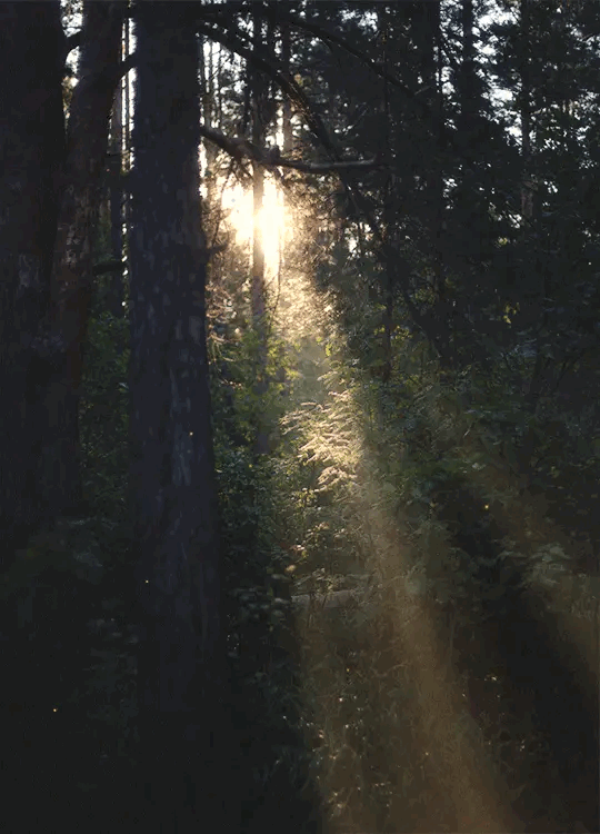 tumblr_pb7zywxjeP1t8sjixo1_540.gifv