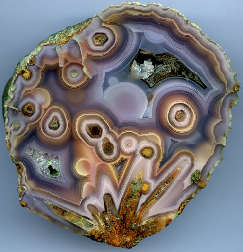libutron:  Coyamito Agate Pseudomorph | ©Uwe Reier Rancho Coyamito Norte, Mexico (2013). Pseudomorphs in agate are quite rare but do occur in nodular agates from various locations, usually as a calcite or aragonite replacement. 