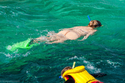 Some final snorkelling pictures before I came out of the water.