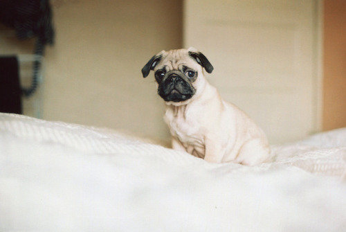convexly:  untitled by Millie Clinton. on Flickr. 