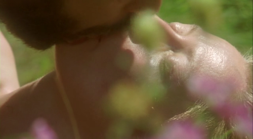 vincekris:    I Am Love (Io sono l’amore) - Luca Guadagnino - 2009  