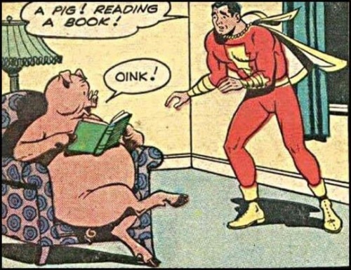 “A pig! Reading a book!”—“Oink!”
