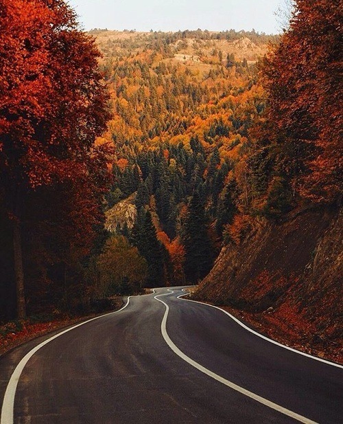 XXX warmsocks-warmdrinks: country roads - take photo