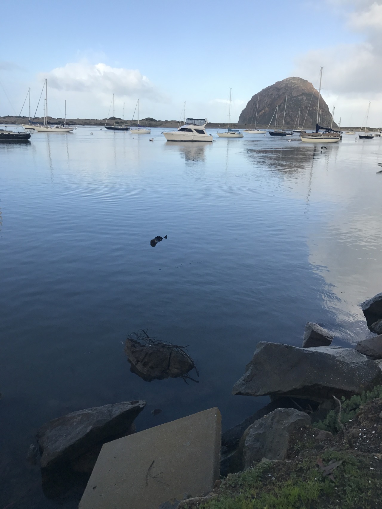 Camping in Morro Bay 😊