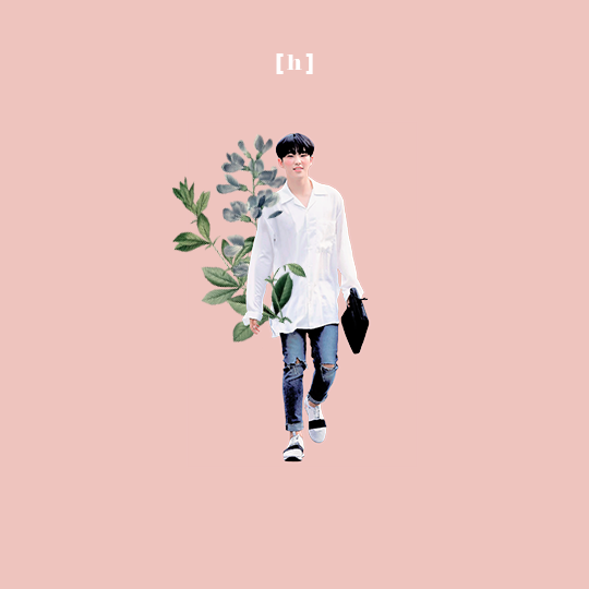 caramelgyu:  little prince ♛  