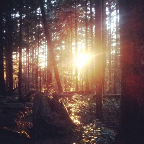 rollingontwo:  Ride on Mt. Seymour in North Vancouver this past weekend.