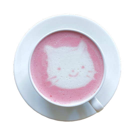 quietvenus:a raspberry chai latte from work today