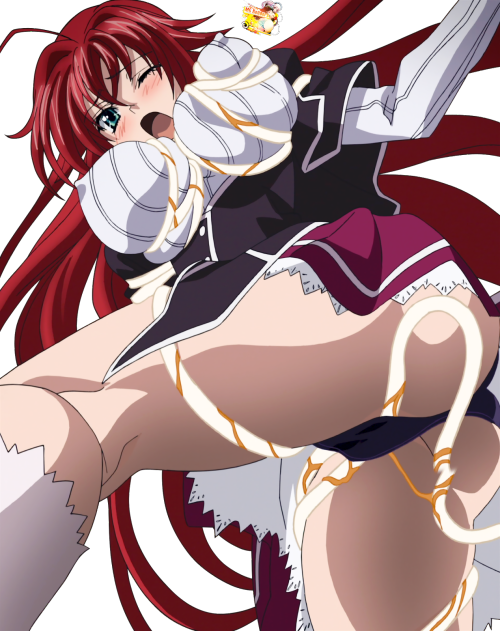 cravingfantasycollection:  REQUEST~ Dedicated to the “Rias Gremory” Collection. 