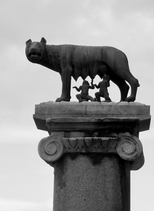 Lei lupo che allatta Romulus e Remus, Campidoglio Roma, 2019.  The story of the founding of Rome is 