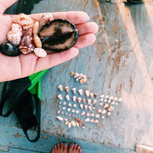 oceanechild:  summerinparadise:  🌴  instagram: luinettemarie