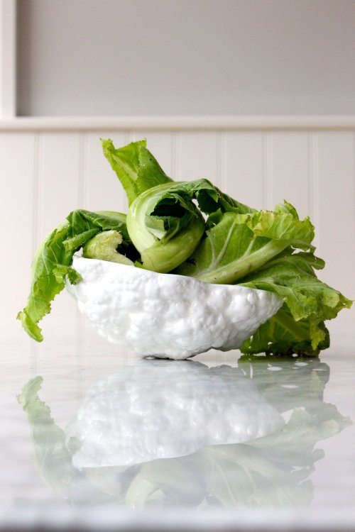 Fonte : www.thekitchn.com , via tinamotta.tumblr.com