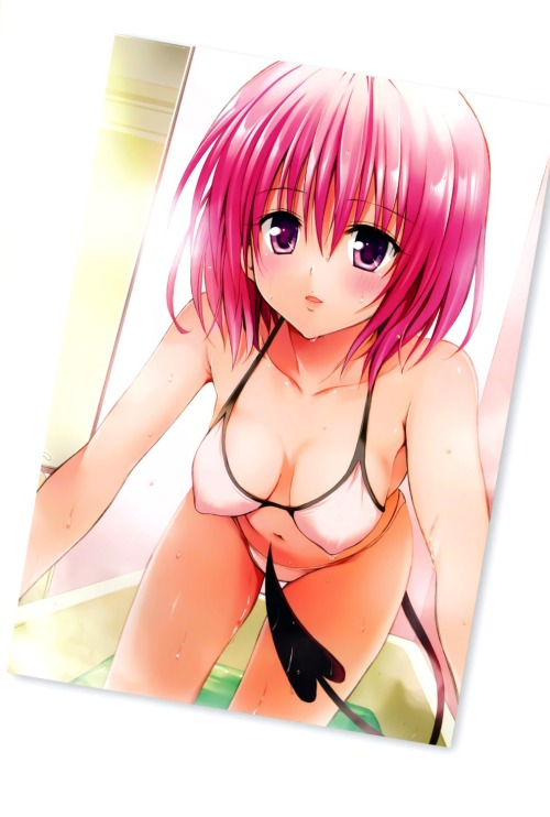 yatsuhashi:  momo velia deviluke to love ru yabuki kentarou | yande.re