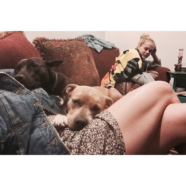 brookeva:I got home and sat down and immediately turned into a pillow  #karma#raja#pitsofig