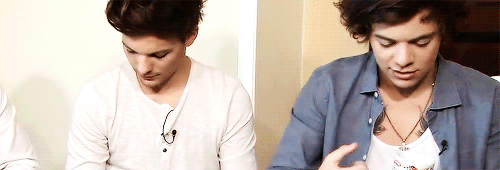 btwmalik:  Louis and Harry being idiots together. 