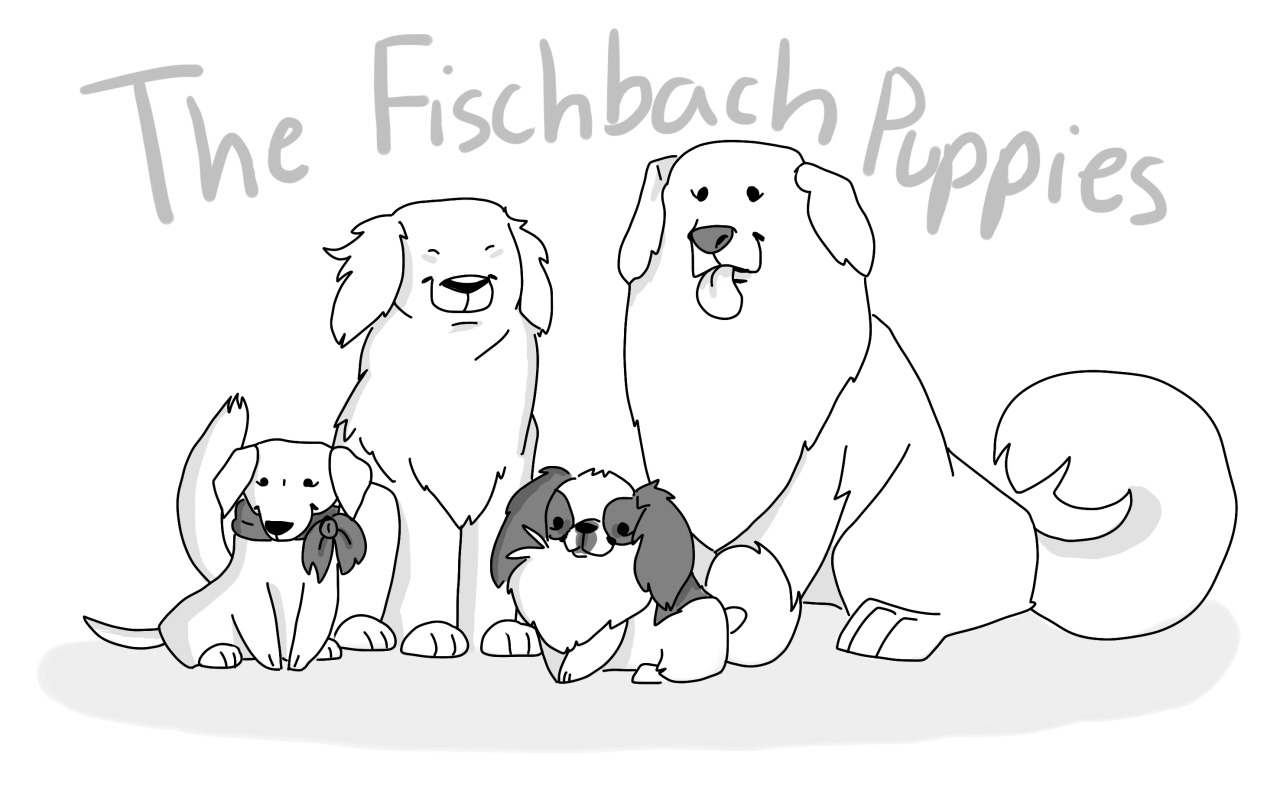shuploc:  The fluffy squad! (Maggie, Buddi, Charlie and Lucy) [Click for high res]