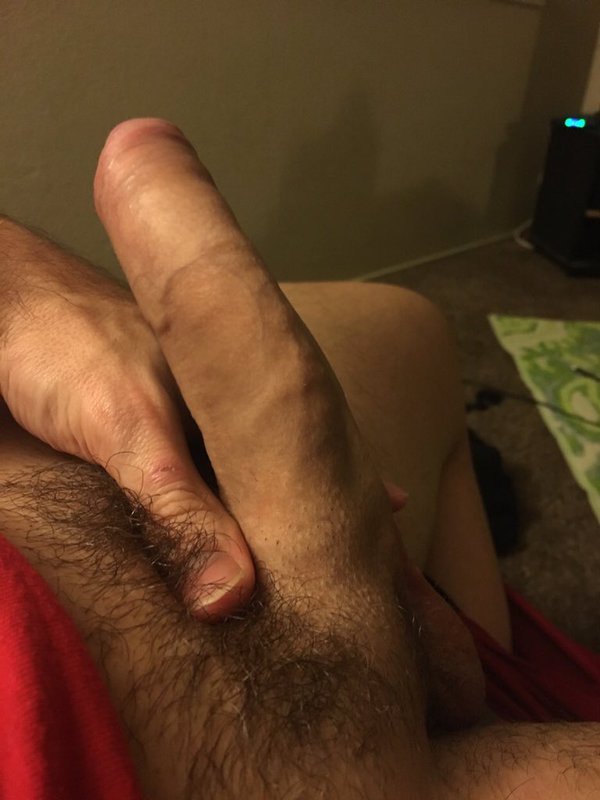 colungafrank:   Wolfie Blue       