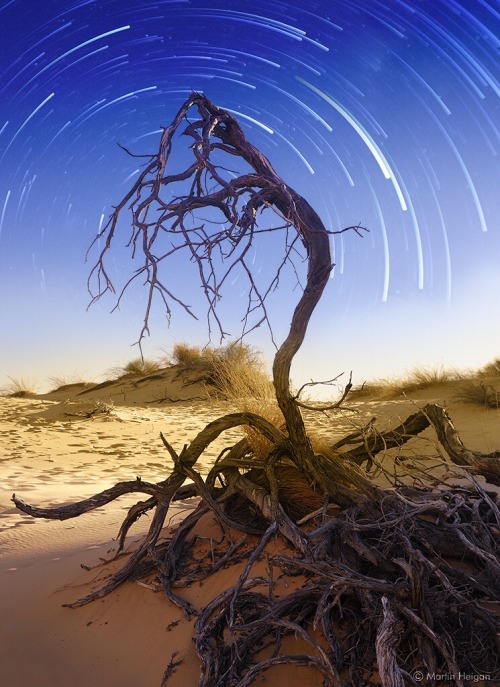 Kalahari Desert Star Trails by Martin Heigan on Flickr