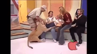 sixpenceee:During a show in Mexico, the lioness lept up and tried to take a hold of the child. Woman