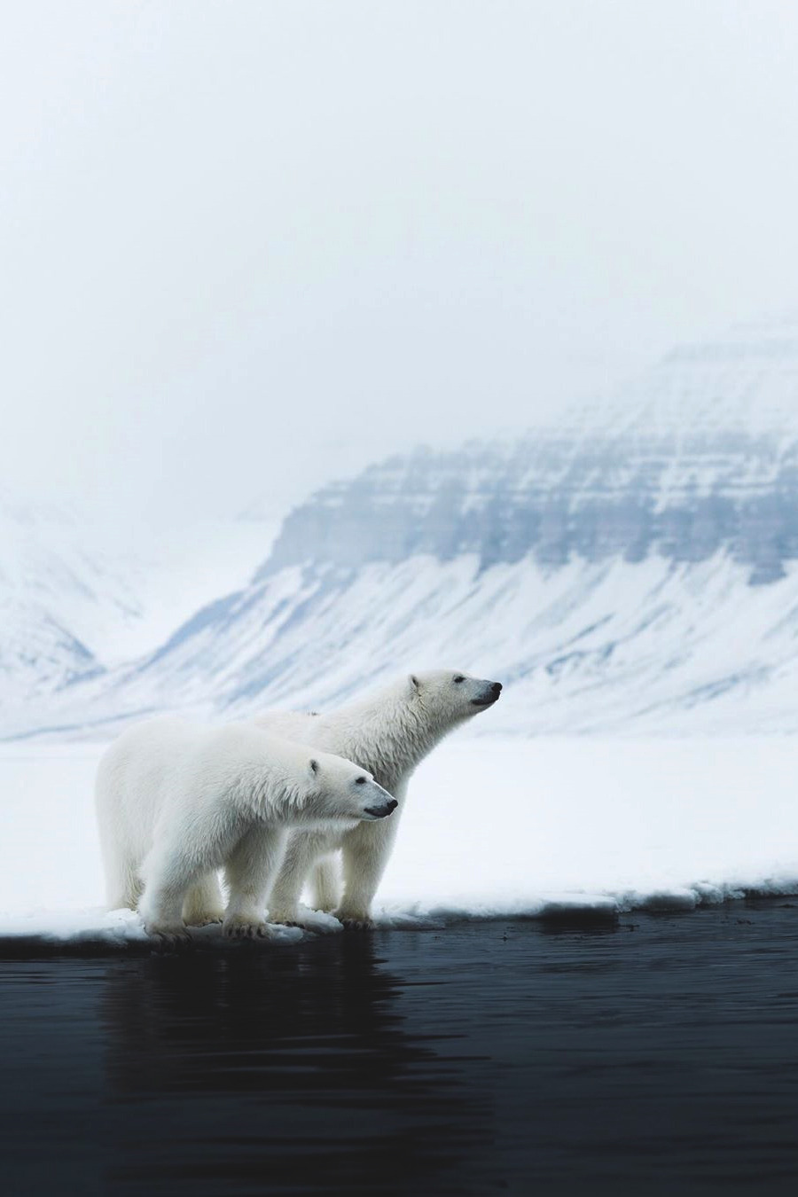 lsleofskye:  Untitled | hannes_beckerLocation: Svalbard Archipelago, Norway