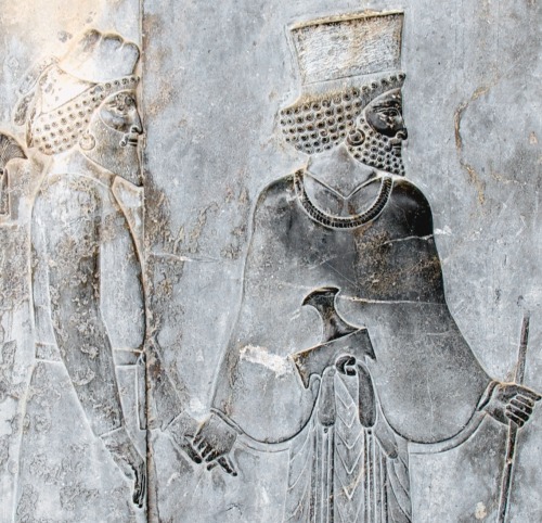 Tribute Bearer and Achaemenid Guide on the Apadana Staircase. The Apadana palace was built by Darius