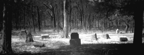 fatalitum:Bachelor’s Grove CemeteryLocated near the southwest suburb of Midlothian is the Rubio Wood