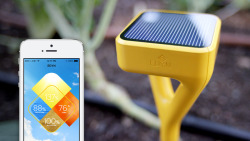 designersofthings:   Your Flowerbed Gets Smarter with the Edyn Smart Garden System The Internet of Things is trickling into all facets of our life including the garden. Edyn is a smart garden system which is currently crowdfunding on Kickstarter. The