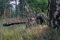 militaryarmament:    Dutch Snipers from Bravo