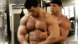 Musclelover