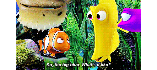 Hey, Disney Lovers!