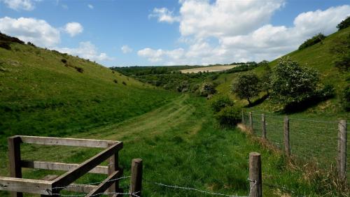 Millington Pastures, East Riding of Yorkshire, England.