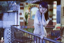 sglovexxx:  Krito Suicide