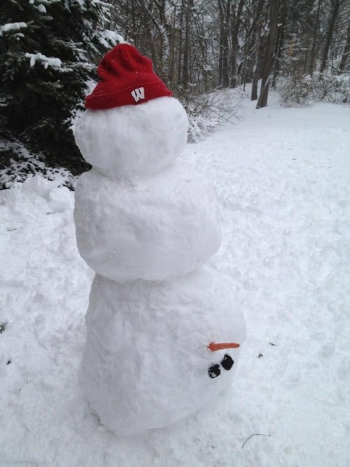 cutegirlonline:whos snowmans is this?