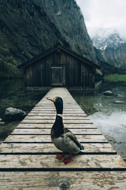 lsleofskye: Obersee, Königssee