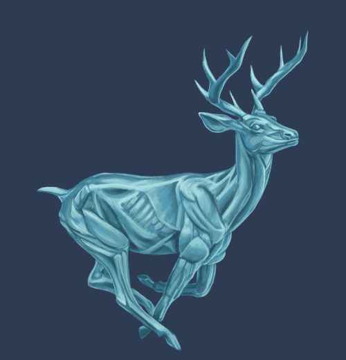 A ghostly deer