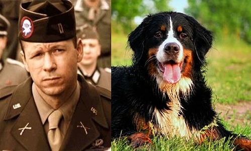neverbelikeyoume:  Easy Company as dogs, because they are all a bunch of puppies