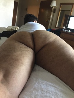 bearsnsox:  Ready for his snack