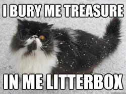 pleatedjeans:  Best of the Pirate Cat Meme (18 Pics)