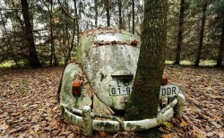 doyoulikevintage:VW beetle abandoned