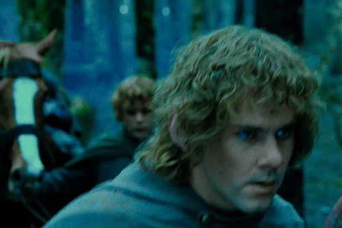 Merry Brandybuck, The Fellowship Of The Ring