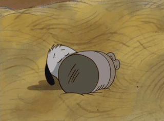buzzgifs:  Charlie Brown meeting Snoopy for the first time. / via 