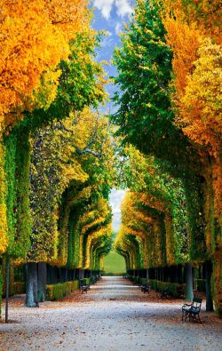 bonitavista:  Vienna, Austriaphoto via macayla