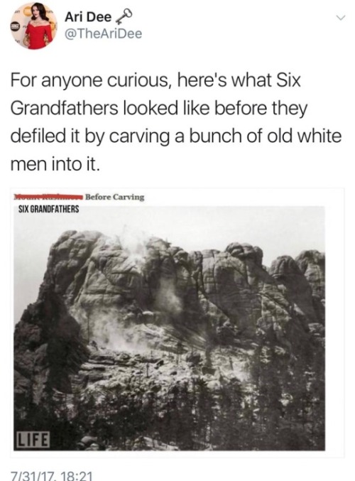 dogiest-doge:meeko-mar:I’ve never actually seen what it looked like before Mt. Rushmore…it’s so sadd