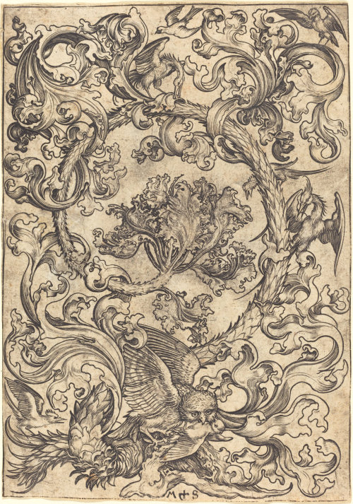 daughterofchaos:Ornament with Owl Mocked by Day Birds byMartin Schongauer, ca. 1480/1490