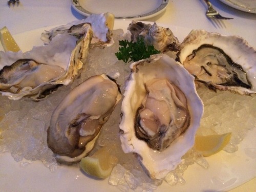 Fresh oysters are always on my food list!