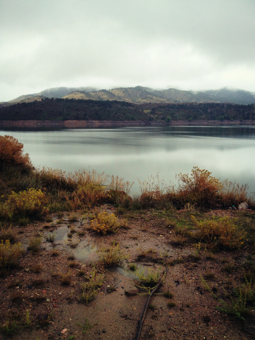 gratefully-dabbed:  glazed-and-kinda-dazed:  d-dracarys-s:  acidlipgloss:  photoatlas:  Colorado Appreciation Post “We are now in the mountains and they are in us, kindling enthusiasm, making every nerve quiver, filling every pore and cell of us.” ― John