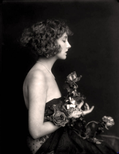 birdarchive: Alfred Cheney Johnston