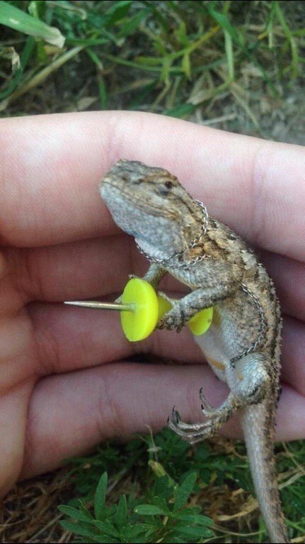 thebootydiaries:  WHILE YOU WERE OUT PARTYING I STUDIED THE BLADE AND NOW THAT