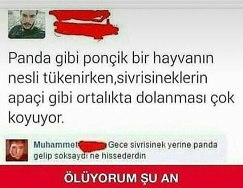 Panda gibi ponçik bir...