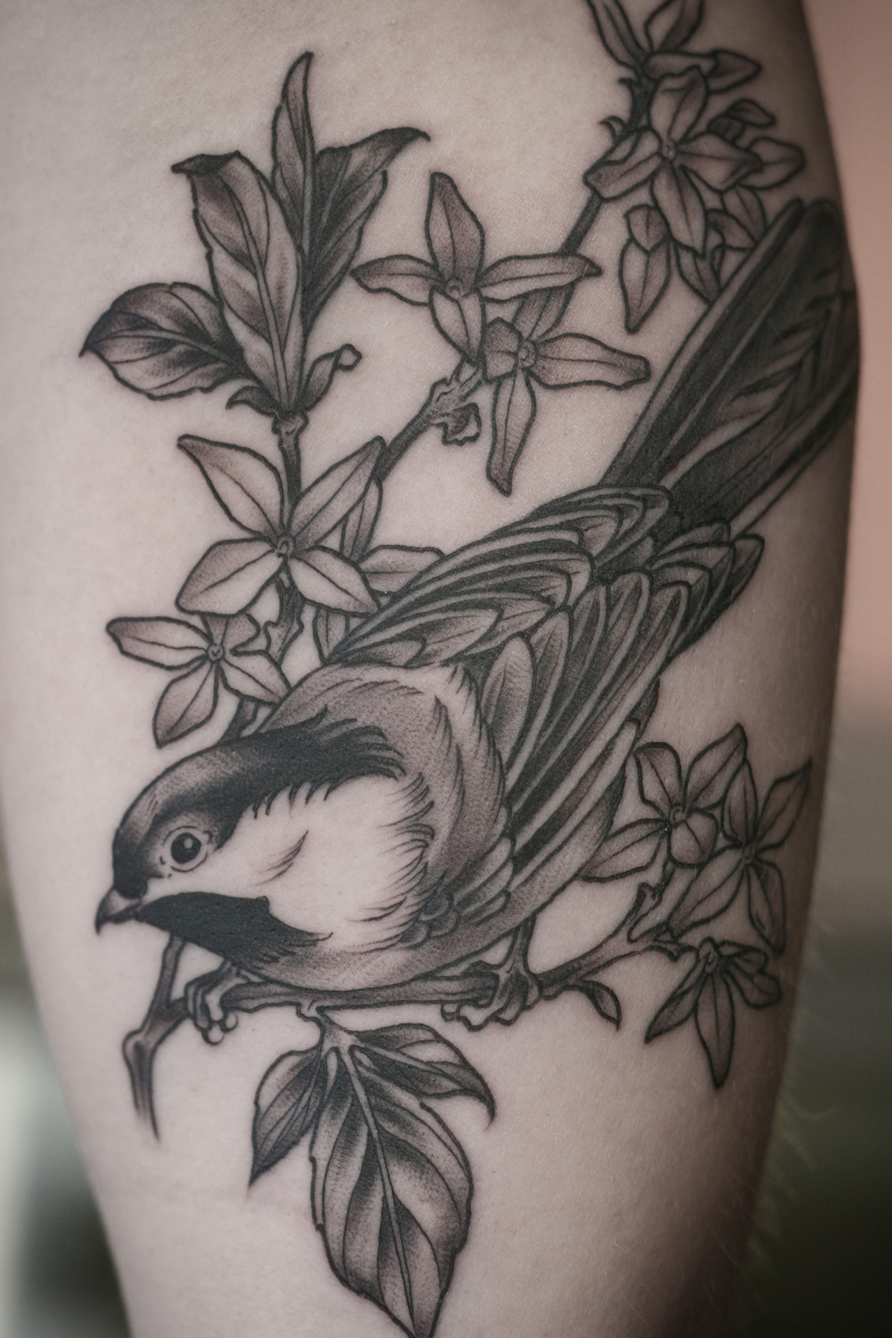 wonderlandtattoospdx:  kirstenmakestattoos:I got to do these fun little black and