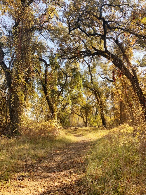 When searching for trails a bit out of my normal hiking area, I came upon the Bobelaine Audubon Sanc